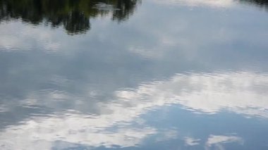 reflection of clouds, Ticino river, Landscape, trees, water, river,