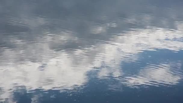 Reflection Clouds Ticino River Landscape Trees Water River — Wideo stockowe