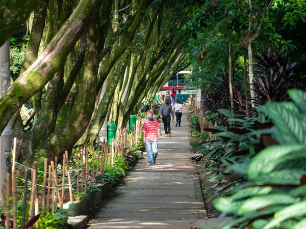 Medellin Antioquia Colombia November 2020 Passerby Wearing Face Masks Walk — Stock Photo, Image