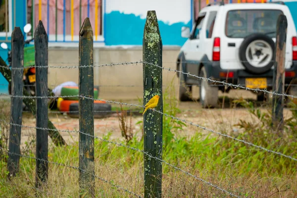 Zicht Steen Guatape Penol Vanaf Het Platteland Antioquia Colombië — Stockfoto