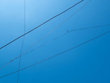 Açık Mavi Gökyüzü Arkaplanı olan Elektrik Kabloları