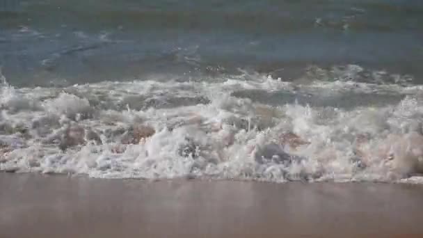 海水の攪拌によって作成された海 海またはビーチフォームとして知られている白い配偶者 — ストック動画