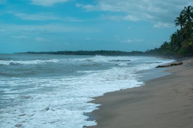 Deniz Dalgaları Bulutlu ve Soğuk Gökyüzünde Bol Köpükle Kıyıya Ulaşır