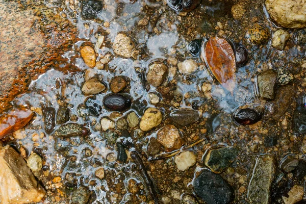 Background Many Stones Different Sizes Wet Ground — Stock Photo, Image