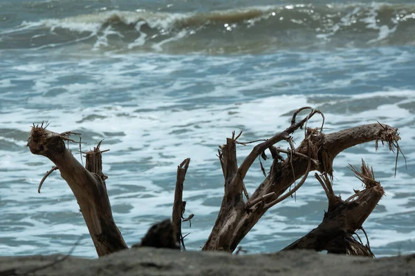 在多云 寒冷的天空中 干枯的树干从一棵树上被砍断 海面波涛汹涌 浪花涌向海岸 泡沫满天 — 图库照片