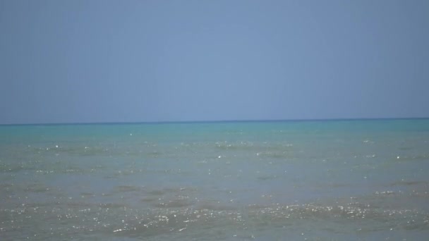 Olas Del Mar Llegando Orilla Con Mucha Espuma Playa Palomino — Vídeo de stock