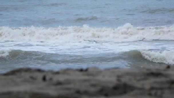 Хвилі Моря Виходять Берег Великою Кількістю Піни Попереду Брудний Пісок — стокове відео