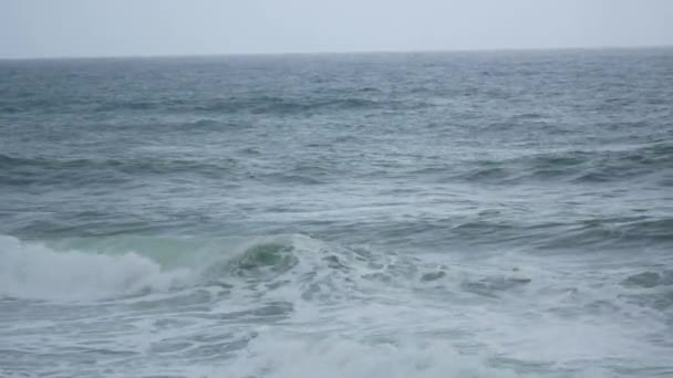 마그달레나 타이로 근처에 해안에 도달하는 — 비디오