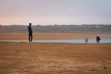 Genç Adam Çölden Denize bakıyor Şafakta Köpeklerle Punta Gallinas, La Guajira, Kolombiya 'da
