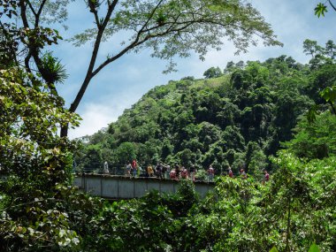 Birçok turist, güneşli bir günde Ağaçlarla dolu bir ormanın ortasında Eski Kırsal Demiryolu Köprüsü 'nde yürüyor.
