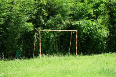 Güneşli bir günde Çimenlerle dolu bir sahada Futbol Golü