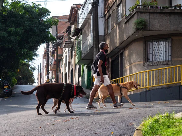 Medellin Antioquia Kolombiya Temmuz 2021 Yaşlı Latin Adam Sülük Mahallesinde — Stok fotoğraf