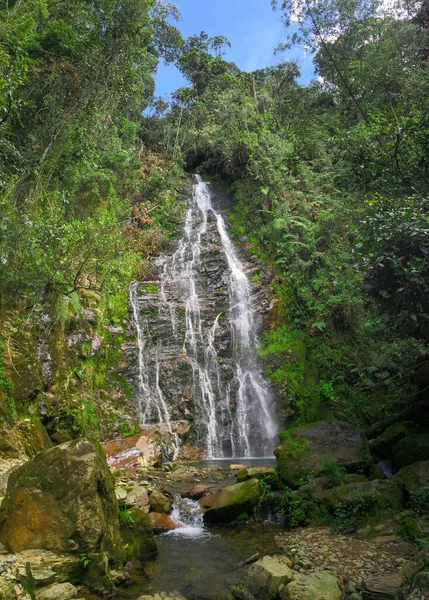 Muita Vegetação Plantas Musgo Nas Rochas Las Golondrinas Cachoeiras Antioquia — Fotografia de Stock