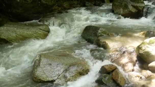 Water Uit Een Rivier Stroomt Door Een Beek Door Grote — Stockvideo