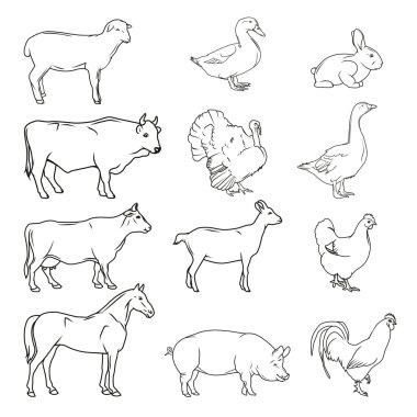 Meat symbols. Hand drawn farm animals. Vintage vector clipart