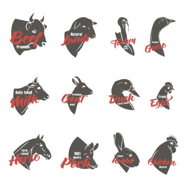 Çiftlik hayvan başları Icon set. Kasaplık logo ve etiket koleksiyonu. 