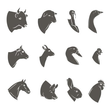 Çiftlik hayvan başları Icon set. Kasaplık logo ve etiket koleksiyonu. 