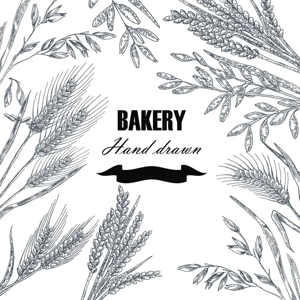 Bread design template. Hand drawn wheat set. Vector illustration