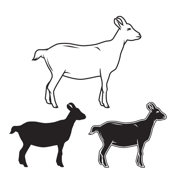 Hand drawn goat set. Vector illustration — Stock Vector