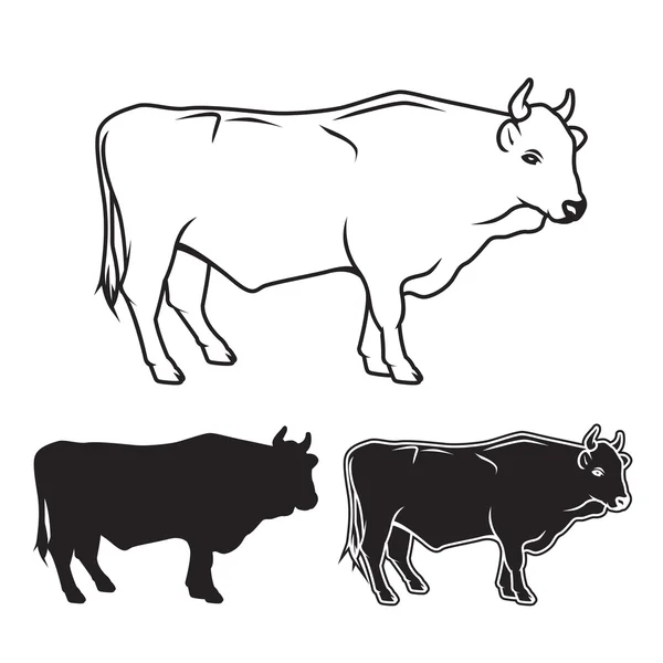 Hand drawn bull set. Vector illustration — Stock Vector