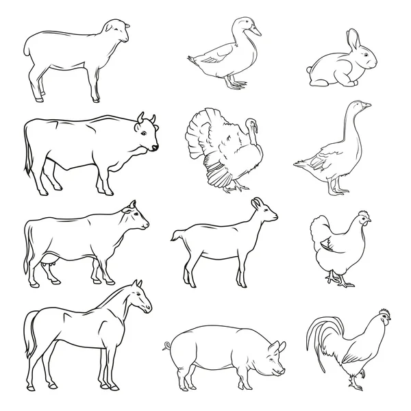 Symboles de viande. Animaux de ferme dessinés à la main. Vecteur vintage — Image vectorielle