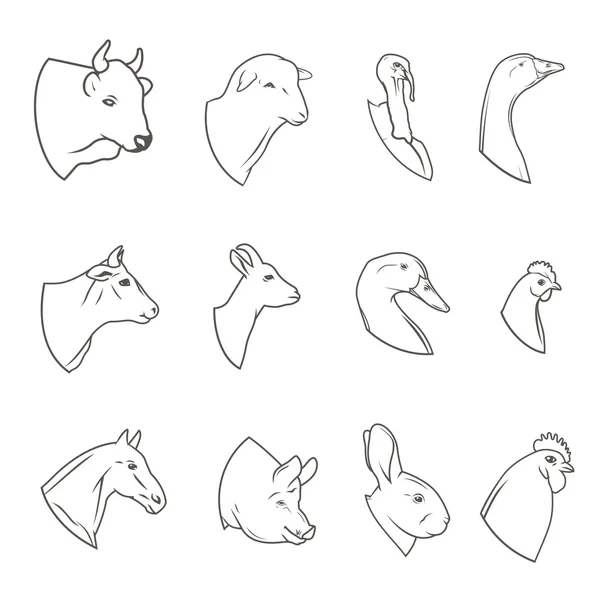 Conjunto de ícones de cabeça de animal de quinta. Logotipo de talho e coleção de etiquetas. V —  Vetores de Stock