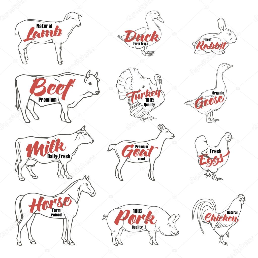 Farm animals icon set. Butchery logo and label collection. Vector