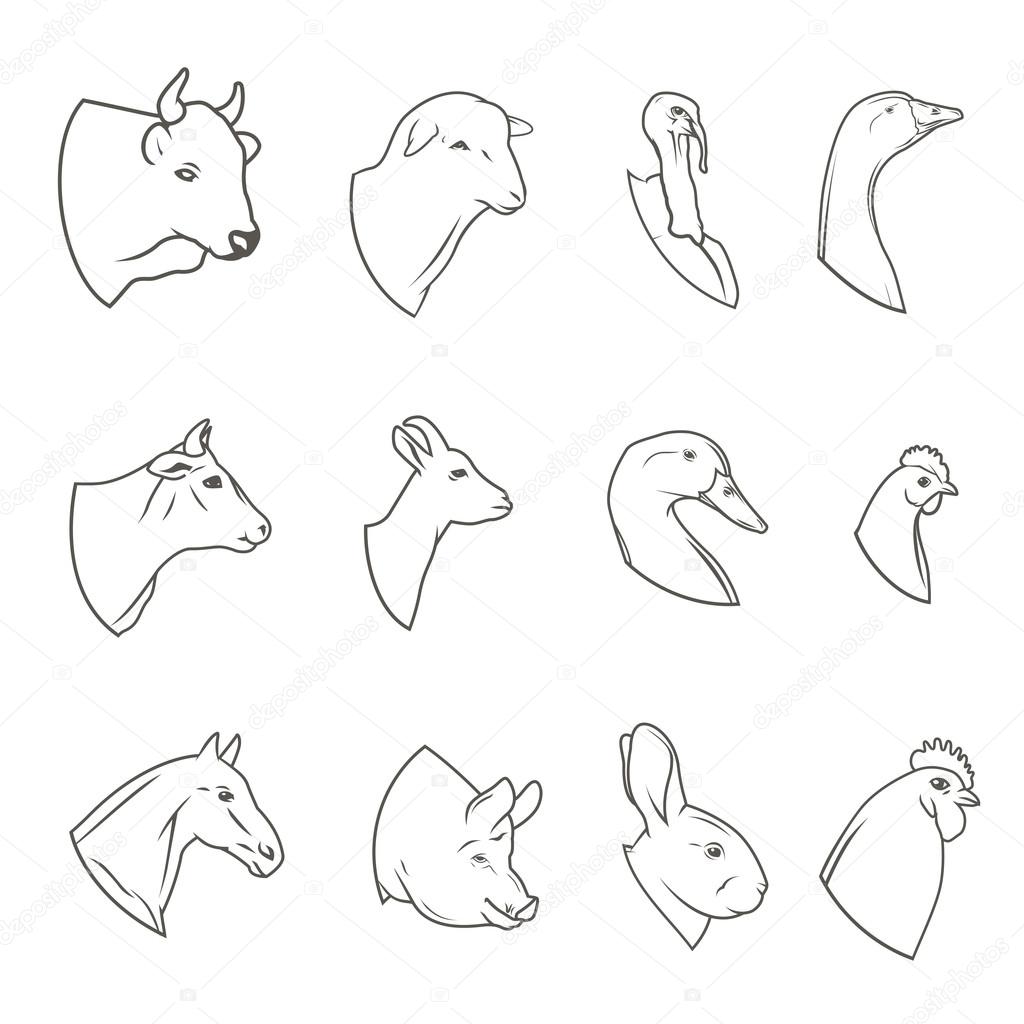 Farm animal head icon set. Butchery logo and label collection. Vector illustration
