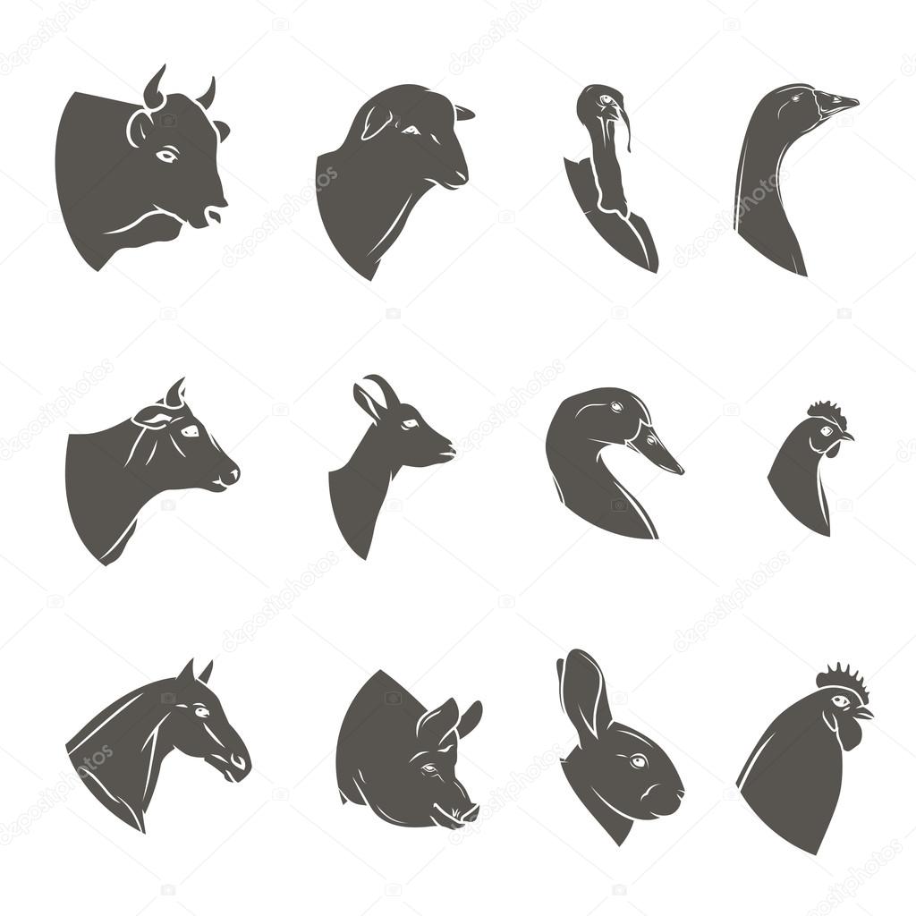 Farm animal heads icon set. Butchery logo and label collection. Vector illustration isolated