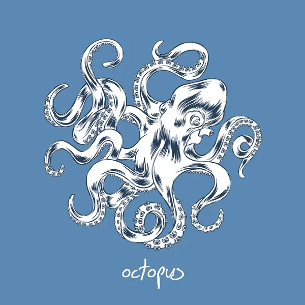 Octopus hand getekend vectorillustratie. — Stockvector