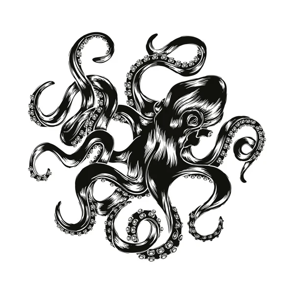 Octopus hand dras vektor illustration. Graverade vektor bläckfisk — Stock vektor