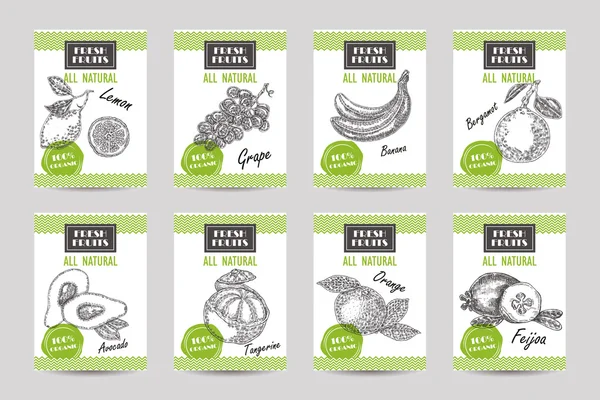 Vector hand drawn sketch fruits. Fruit banner set. Eco food illu — Stock Illustration Vector hand drawn sketch fruits. Fruit banner set. Eco food illu Stock Illustration