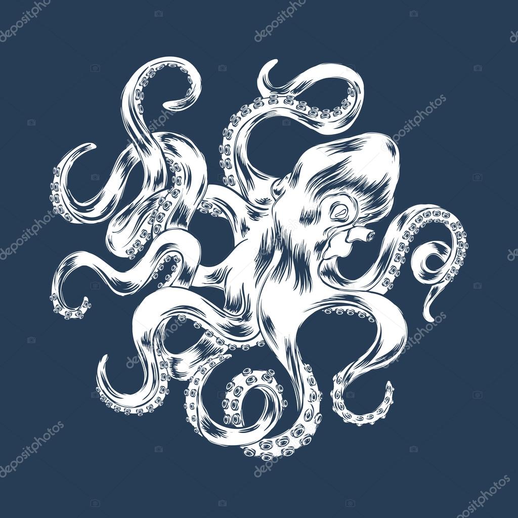 Octopus hand drawn vector illustration. Engraved vector octopus silhouette
