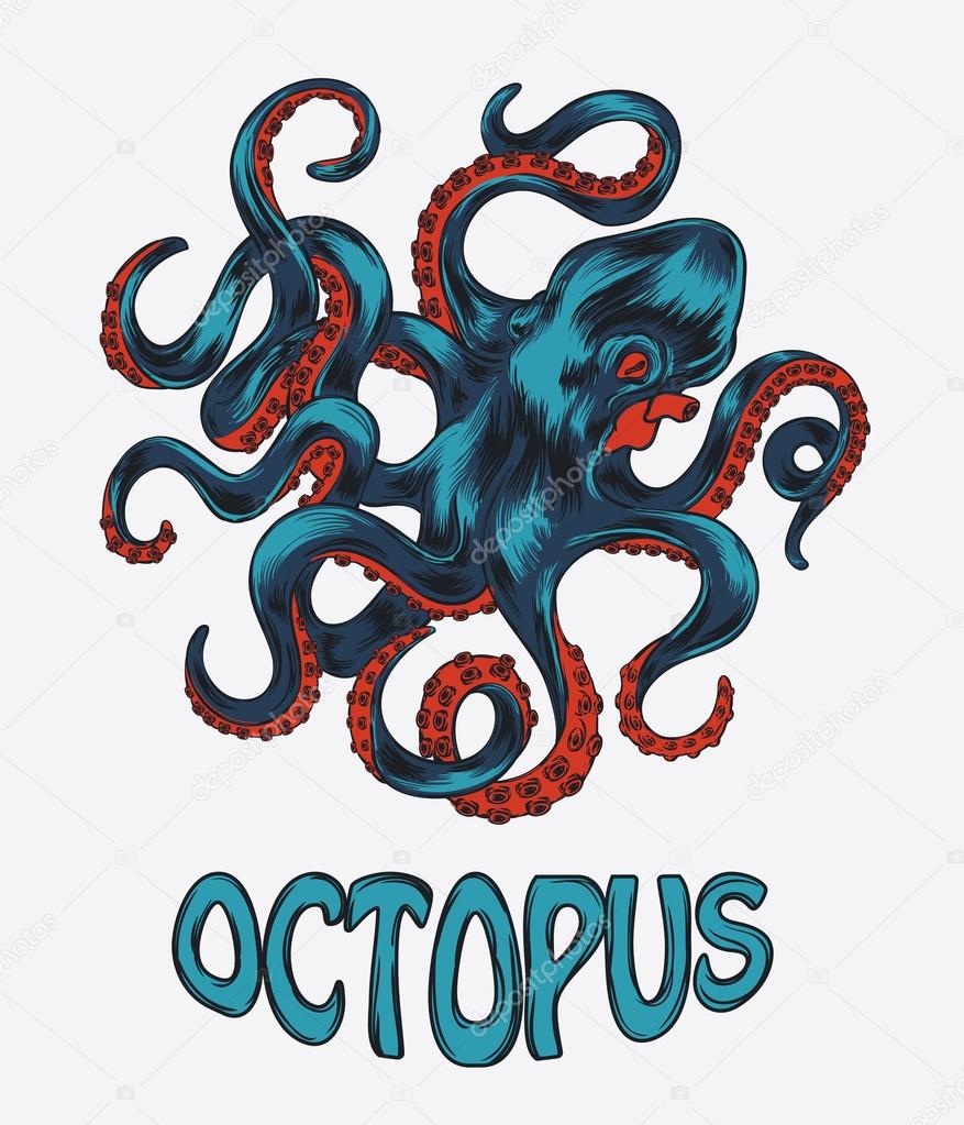 Octopus hand drawn vector illustration. Colorfull vector octopus design.
