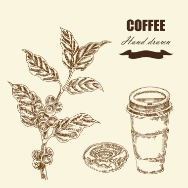 El çekilmiş kahve dal ve kahve. Vektör çizim