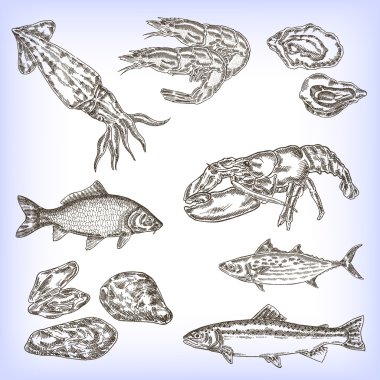 Elle çizilmiş deniz ürünleri kümesi. Oyulmuş vektör balık, calmar, karides,