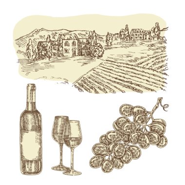 Wine vector set. Hand drawn bottle of wine and vineyard