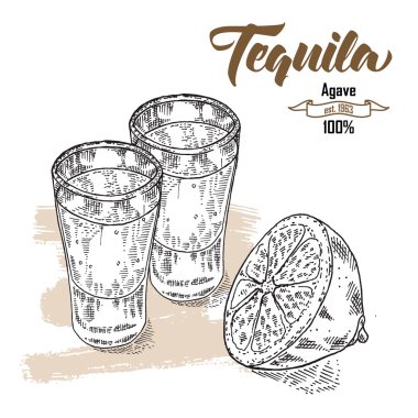 Shot of tequila drink. Hand drawn two glasses of tequila. Engrav