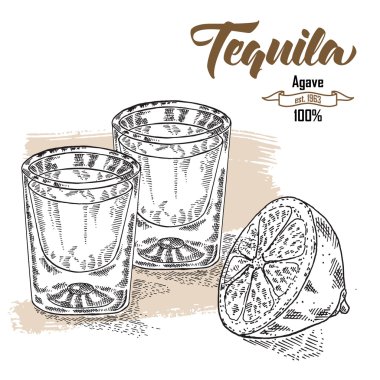 Shot of tequila drink. Hand drawn two glasses of tequila. Engrav