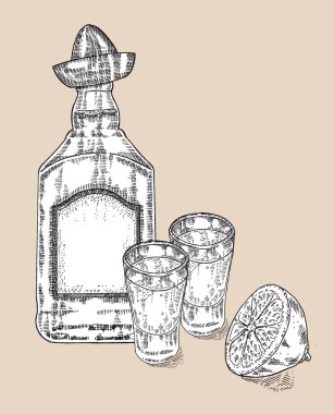 Bir şişe tekila içeceği. Elle çizilmiş iki bardak tekila. Oyulmuş