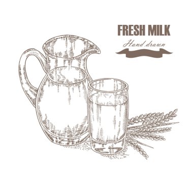 Hand drawn jug and glass of milk with wheat ears isolated. Vector