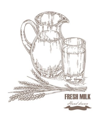 Hand drawn jug and glass of milk with wheat ears isolated. Vector