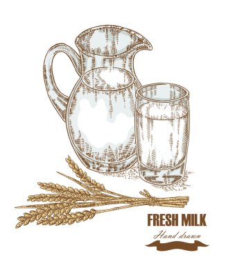 Hand drawn jug and glass of milk with wheat ears isolated. Vector