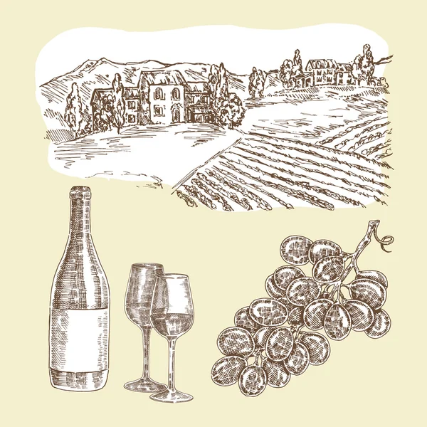 Wine vector set. Hand drawn bottle of wine and vineyard — Stockvector