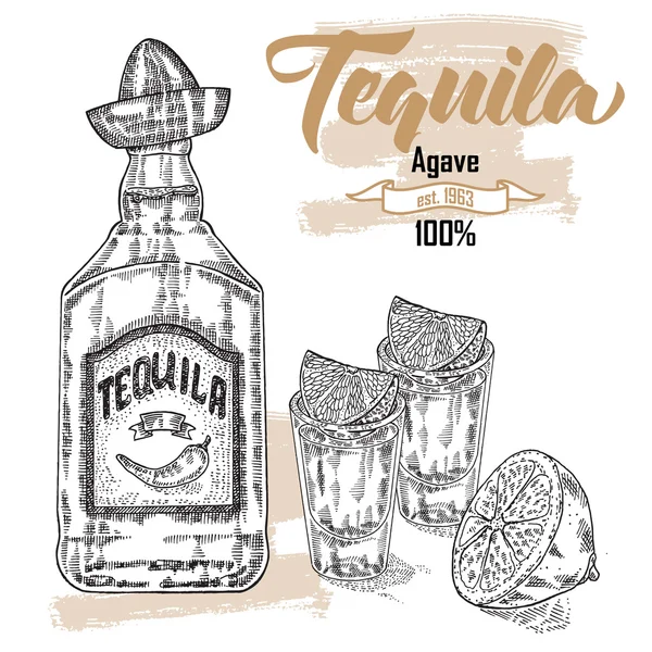 Fles tequila-drankje. Hand getekende twee glazen Tequila. — Stockvector