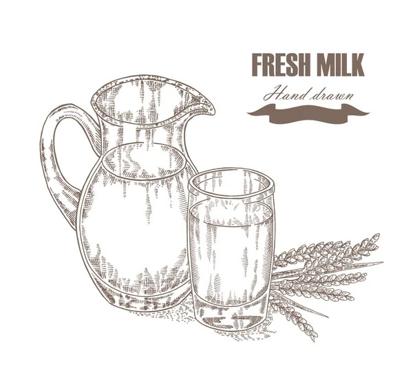 Hand drawn jug and glass of milk with wheat ears isolated. Vector — 图库矢量图片