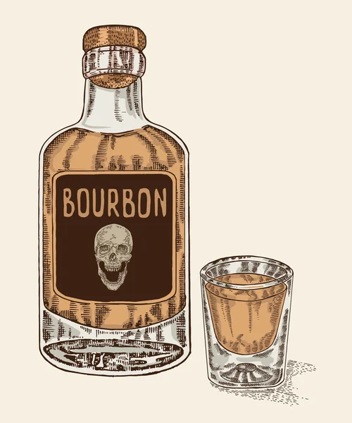 Uísque em garrafa e vidro. Vetor de bebida bourbon desenhado à mão — Vetor de Stock