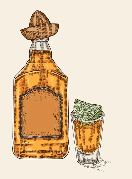 龙舌兰酒的酒瓶和酒杯。手绘 tequilan 饮料矢量 — 图库矢量图片