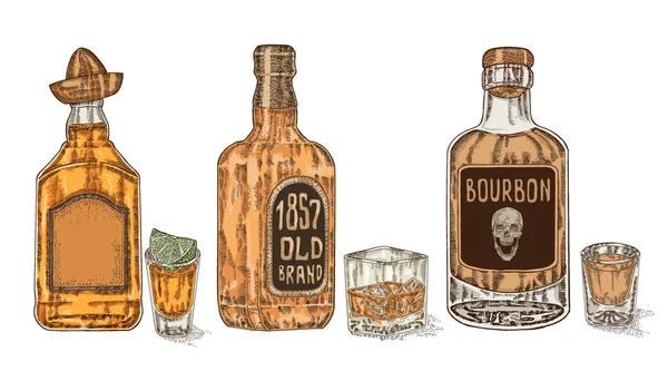 Trois bouteilles d'alcool fort. Whisky dessiné à la main — Image vectorielle