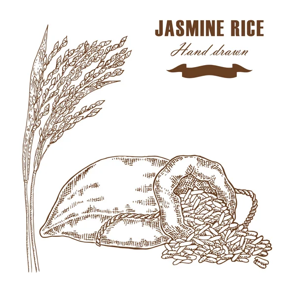 Riz au jasmin thaïlandais en sac. Plante de riz dessinée à la main. Vecteur — Image vectorielle